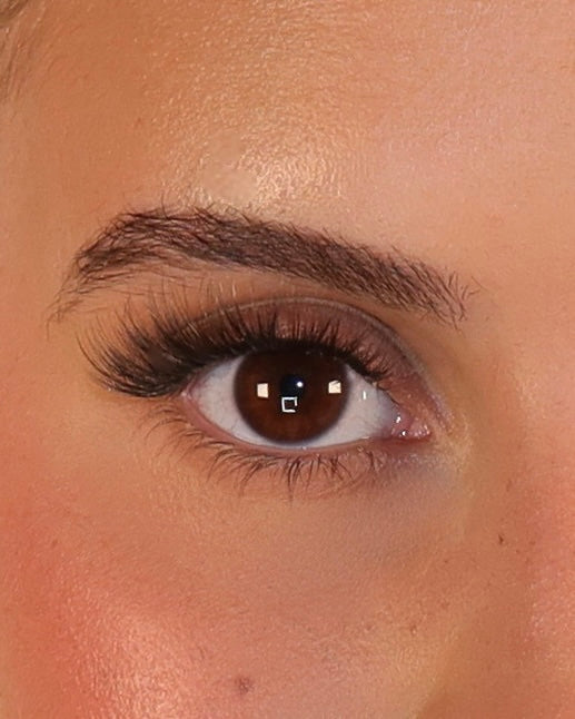 THE RAVEN LASH