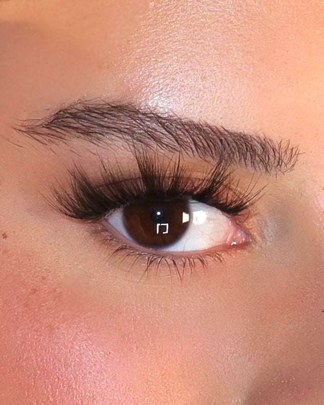THE EBENE LASH