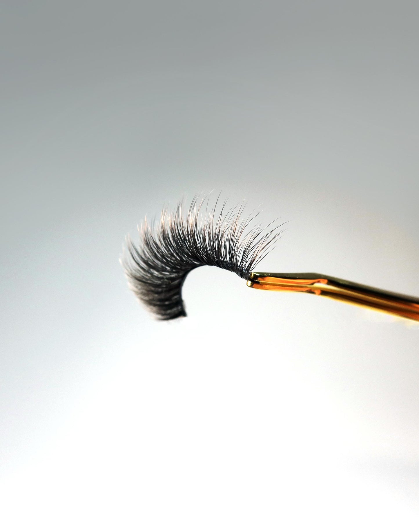THE RAVEN LASH