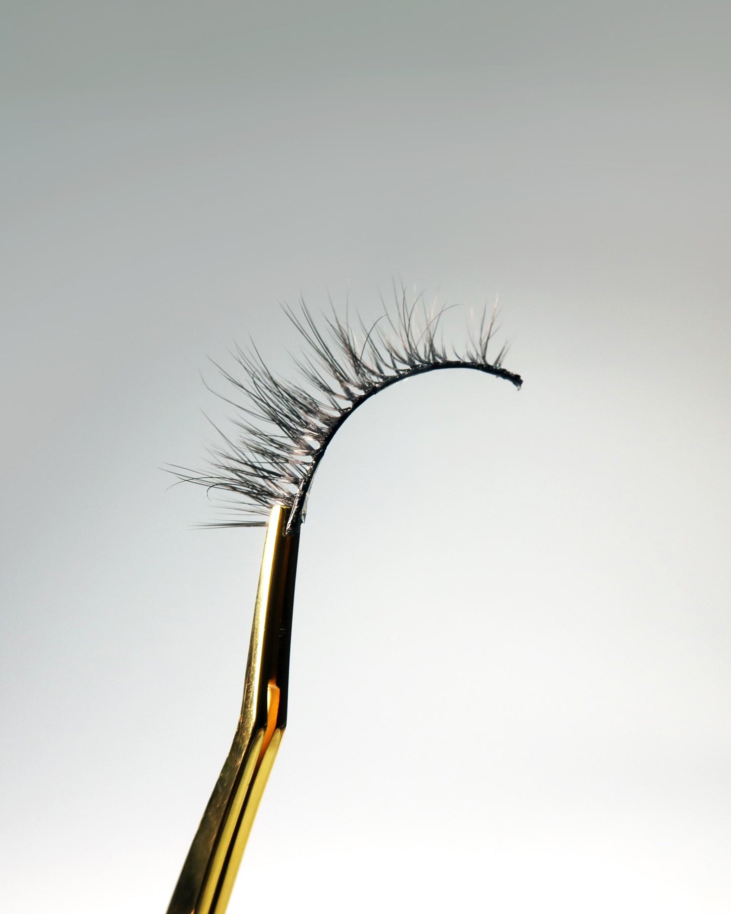 THE SABLE LASH