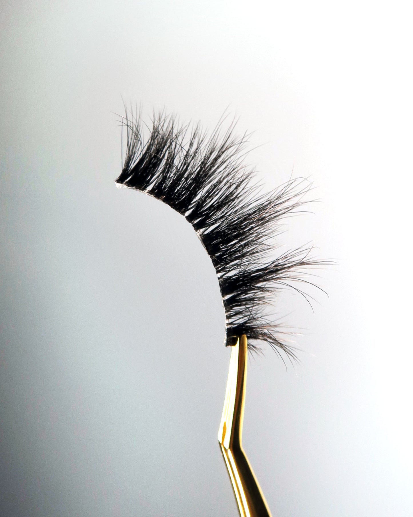 THE EBENE LASH