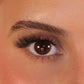 THE RAVEN LASH