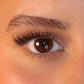 THE HUSH LASH