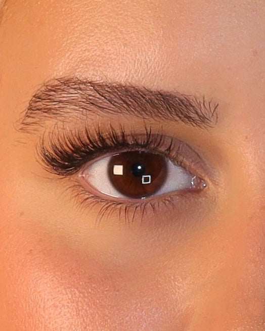 THE HUSH LASH