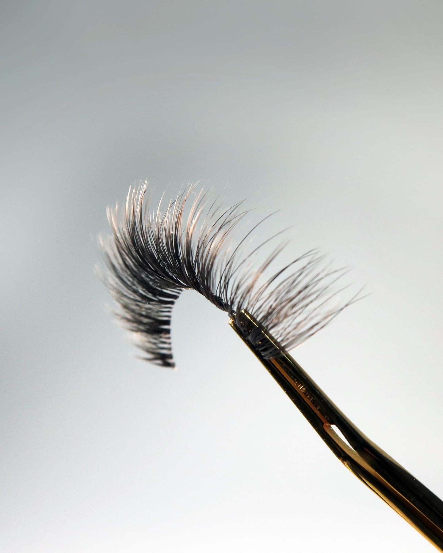 THE RICHE LASH