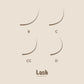 0.07 LASH TRAY